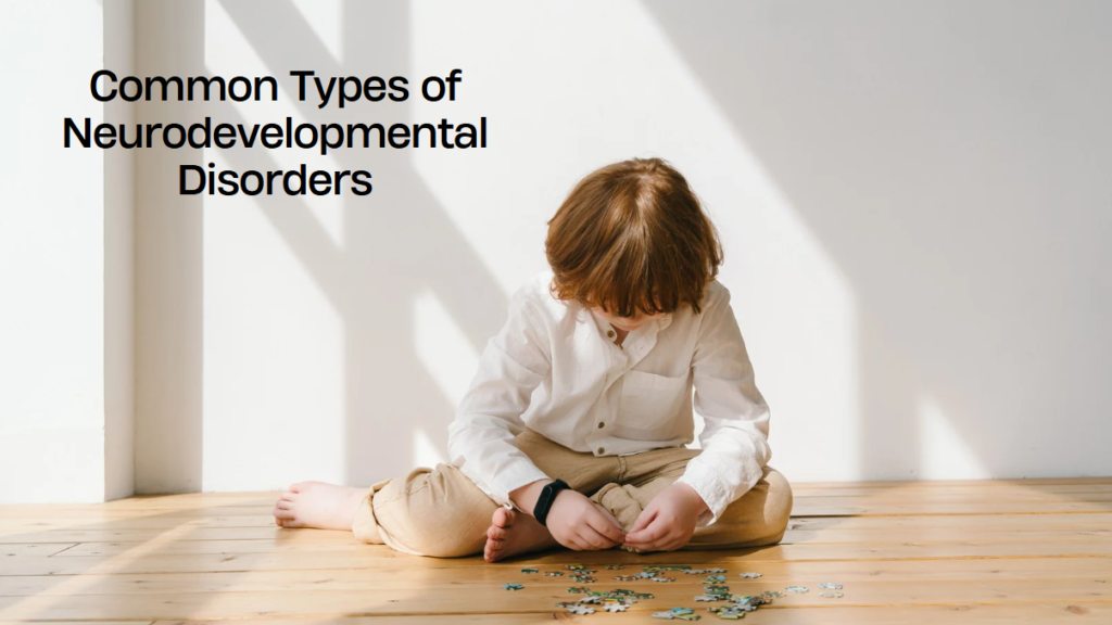 Common Types of Neurodevelopmental Disorders